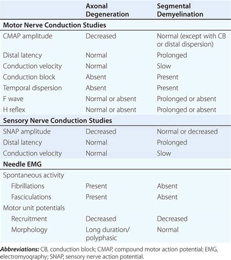 Peripheral Neuropathy Basicmedical Key