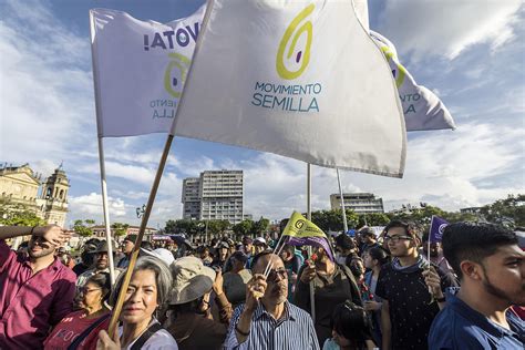 Tribunal Electoral De Guatemala Suspende Al Partido Del Presidente Electo