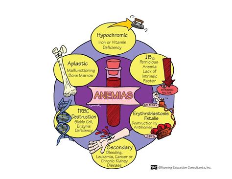 studentnursestuff-blog on Tumblr