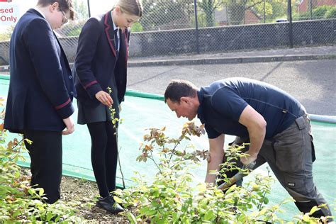 The Big Tree Project