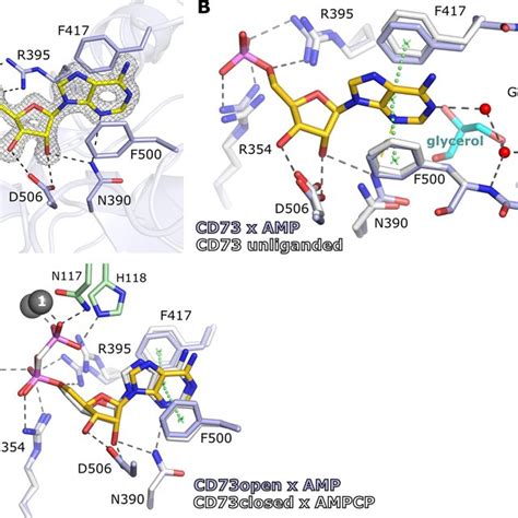 Inhibition Kinetics Of Cd Against A Panel Of Commercially Available