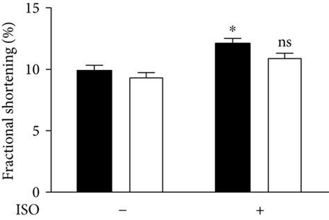 Cytosolic Ca² transients of control cardiomyocytes after 24 hrs of