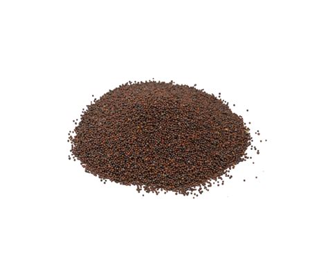 Black Mustard Seeds Spice Nest Ginger Garlic Paste Manufacturers In