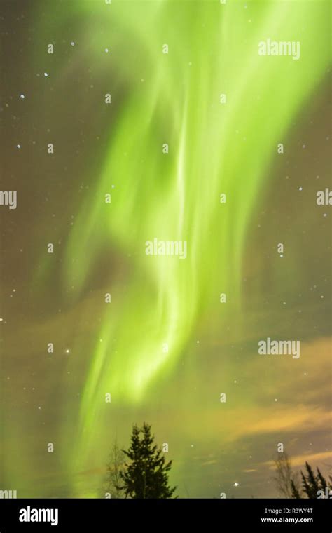 USA, Alaska, Fairbanks. Aurora borealis at night Stock Photo - Alamy