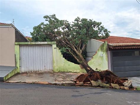 Tempestade Derruba Várias árvores E Deixa Totem Publicitário Pendurado