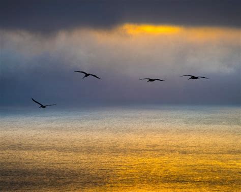 Big Sur Photography Ocean Sunset Photo California Coast - Etsy