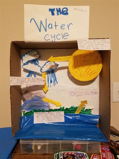 Water Cycle Project