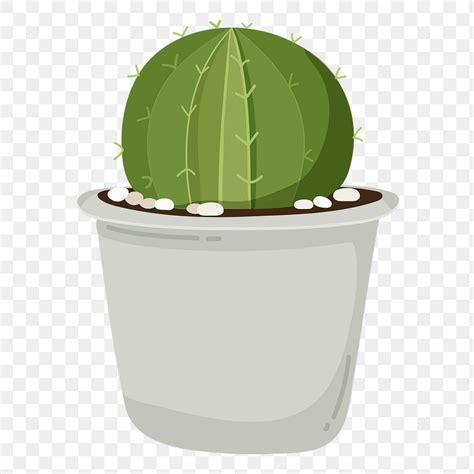 Cactus Png Sticker Cute Illustration Premium Png Rawpixel