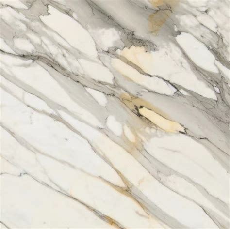 Supply Calacatta Oro Extra Vagli Marble Wholesale Factory Xiamen Vq