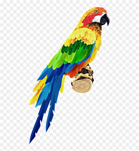 Colorful Parrot Clipart 4008687 Pikpng