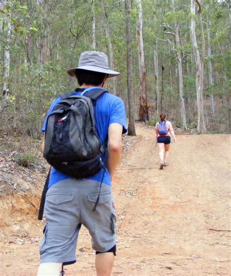 Scorpion Trail To Mt Coot Tha S Gold Mine