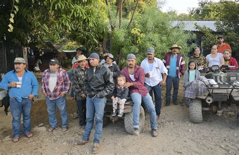 Familias Dejan Zihuaquio Por Un C Rtel Y Se Pierde El Mejor Mezcal De