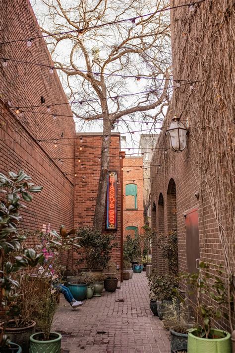 Secure Pet Transport in Fort Worth, TX | CitizenShipper