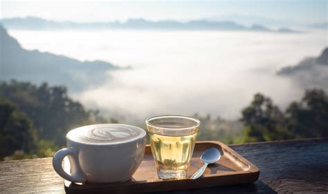 hache détresse chaine de télévision thé ou café le matin câble accord