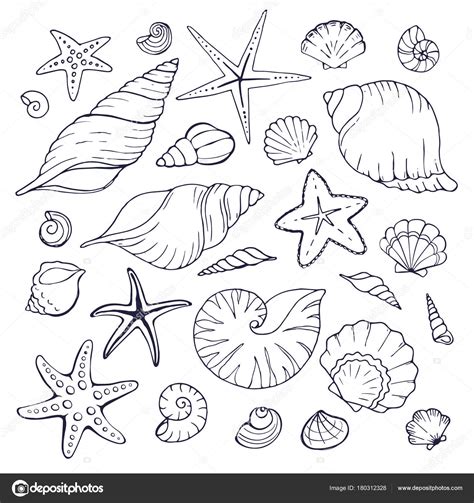 Dibujos De Conchas Mar Para Colorear En Car Sketch Coloring Page