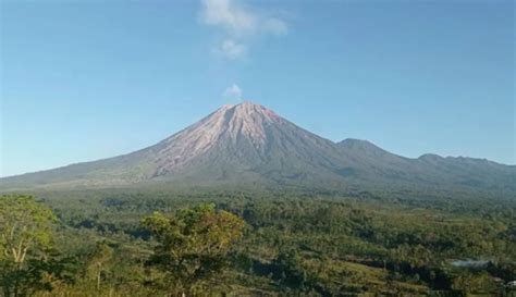 Gunung Semeru Erupsi Kali Masyarakat Diimbau Waspada Meski Letusan