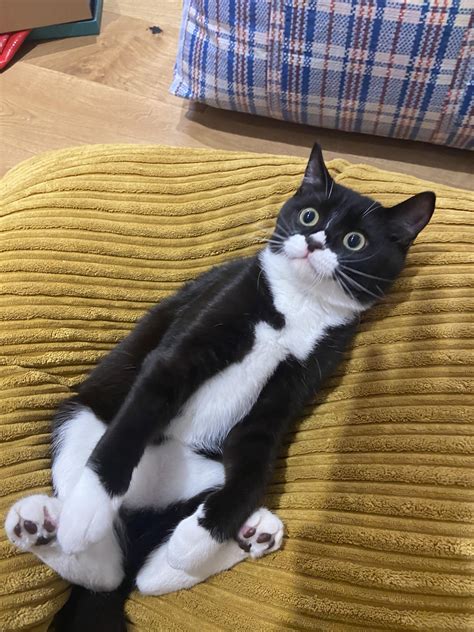 475 Best U Otherarcticharl Images On Pholder Fat Pussy Lovers Goth Pussy And Gothsluts