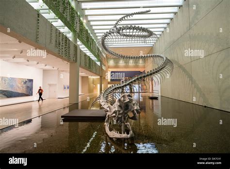 Dinosaur sculpture in Queensland Art Gallery on Southbank on Brisbane ...