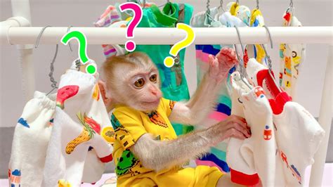 So Funny Monkey Puka Wants To Choose Clothes With Mom Youtube