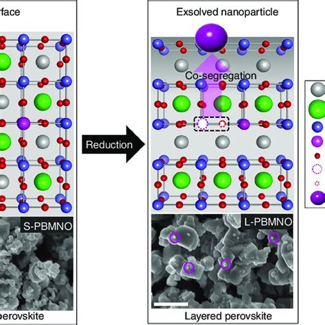 Pdf Exsolution Trends And Co Segregation Aspects Of Self Grown Catalyst Nanoparticles In