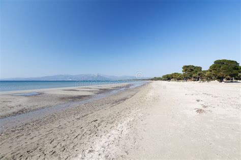 Schinias Beach in Attica Near Athens, Greece Stock Image - Image of ...