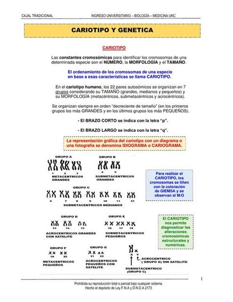 Cariotipo y genética Enfermería uDocz