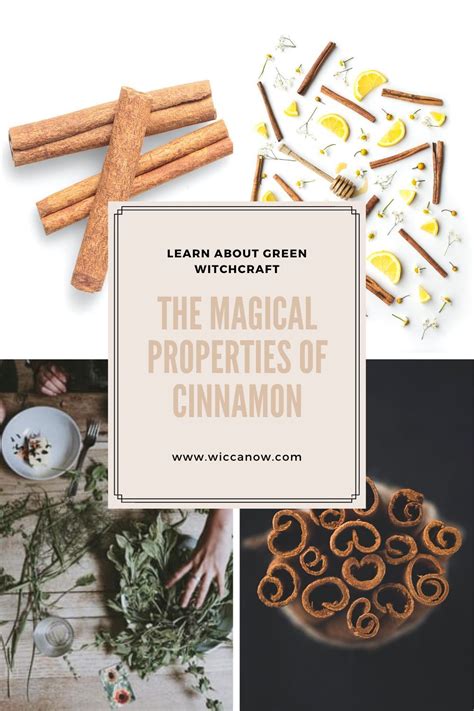 The Magical Properties Of Cinnamon 11 Interesting Facts Green