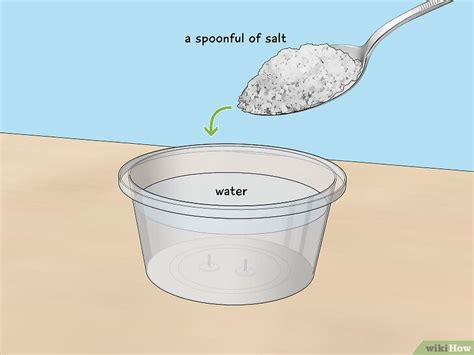 How To Electrolyse Water An Easy Experiment