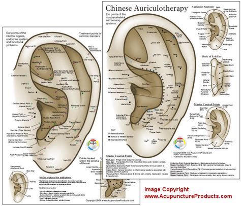 Chinese System of Ear Acupuncture Chart