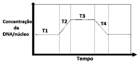 AIO O Grafico A Seguir Mostra Variacoes Da Quantidade