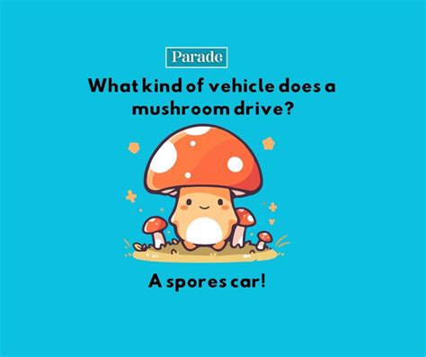 Best Mushroom Puns Jokes Parade