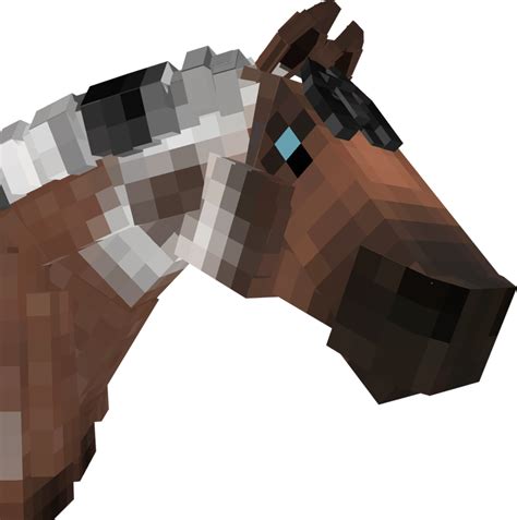phoenix swem custom coat cosmic equestrians ko fi shop