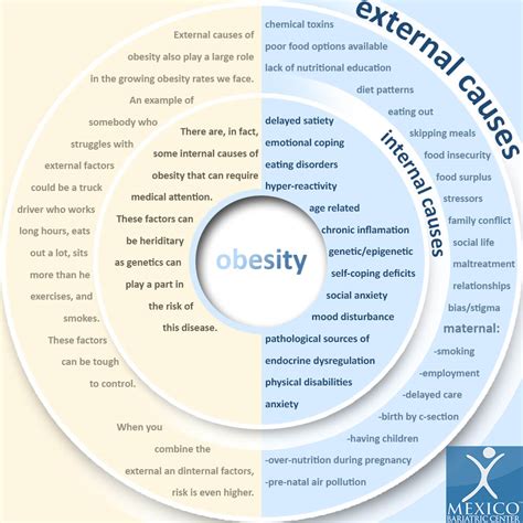 What Causes Obesity Anyway? External and Internal Causes