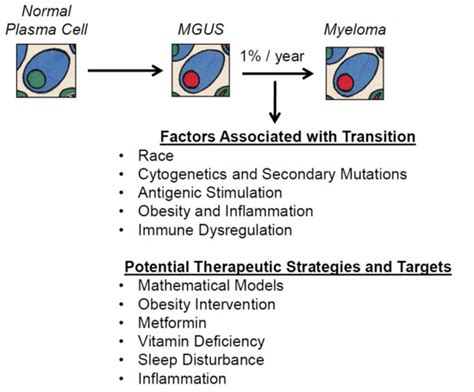 Ijms Free Full Text Prevention Is The Best Treatment The Case For Understanding The