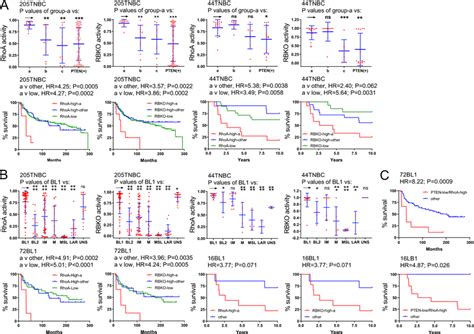 Expression Levels And Prognostic Power Of RhoA Signaling And RB Loss In