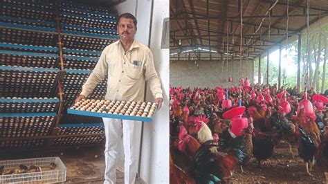 Poultry Farming In Maharashtra हॅचरी पक्षी अंडी उत्पादन अन