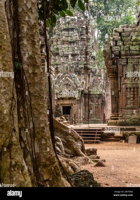 Image Of Ta Prohm Temple The Photogenic Temple At Angkor Wat Archeological Park Siem Reap