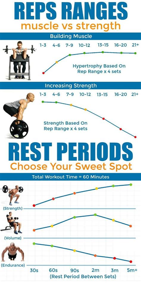 Essential Strength Benchmarks To Reap Strength And Ultimate Size