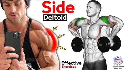 8 Easy Exercises Side Deltoid Workout Shoulders Day Youtube