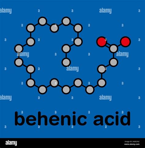 Acid Cido Docosanoic Behenic Mol Cula De Cido Graso Saturado