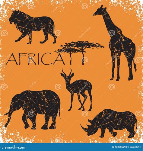 Set of Animals Africa,elephant, Lion, Giraffe, Roe Deer, Rhinoceros ...