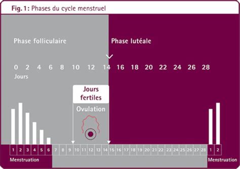 quiz système reproducteur APS1 Flashcards Quizlet