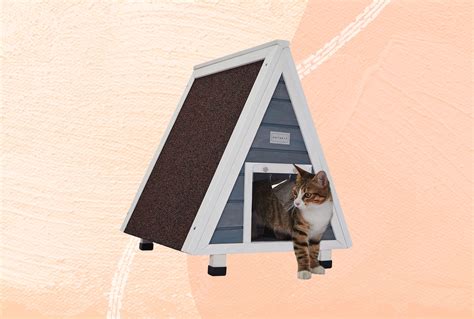 The 5 Best Outdoor Houses for Cats