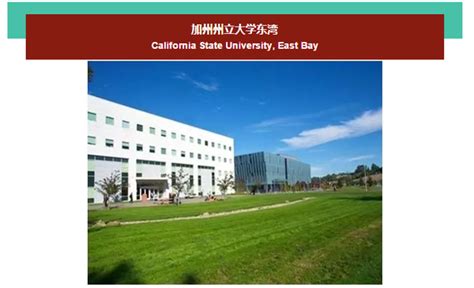 美国西部最大的公立大学系统——加州州立大学系统california State University 知乎