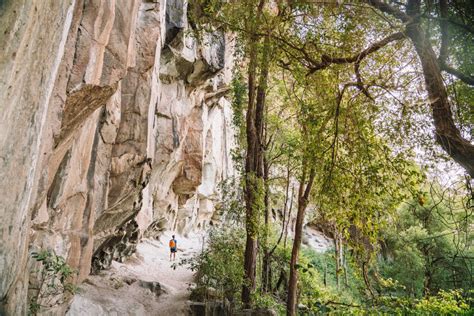 Mount Beerwah, Queensland. - Walkers Journal