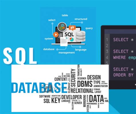 Crud Operations Understanding The Role In Mysql Sesame Disk Group