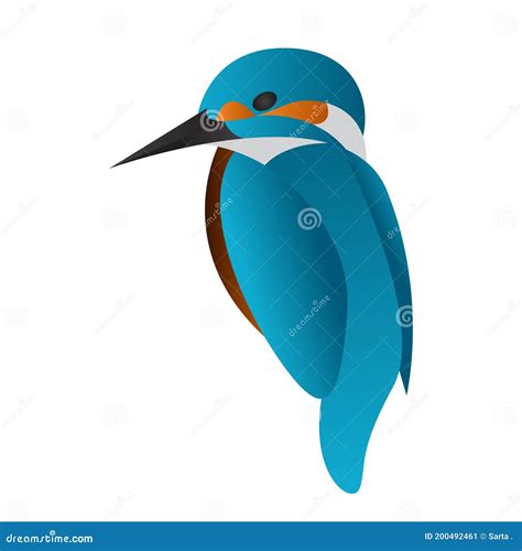 Gradient Kingfisher Bird Vector Illustration Stock Vector