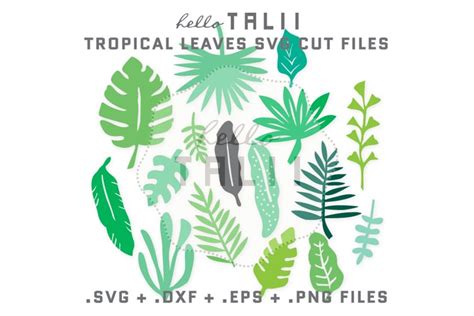 Tropical Leaves Svg Cut Files Bundle