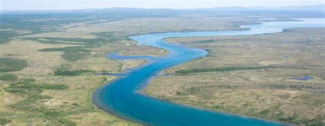 Naknek River | Fishing Overview & Top Rated Fishing Trips