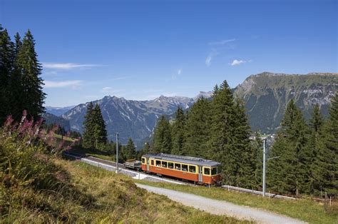 Be Der Blm Zwischen Winteregg Und Gr Tschalp